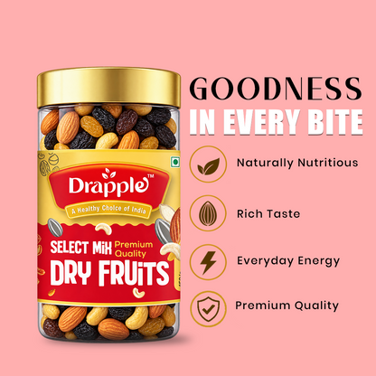 Drapple Select Premium Mixed Dry Fruits – 450 g Jar